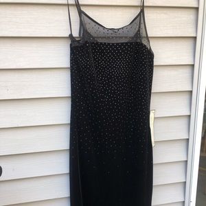 NWT gorgeous velvet gown.